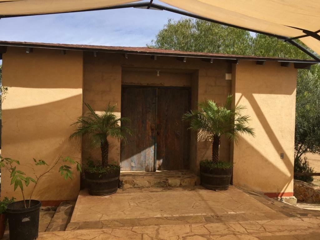 ואלה דה גוואדלופה Guest House Nativo - Charming, Cozy & Affordable מראה חיצוני תמונה