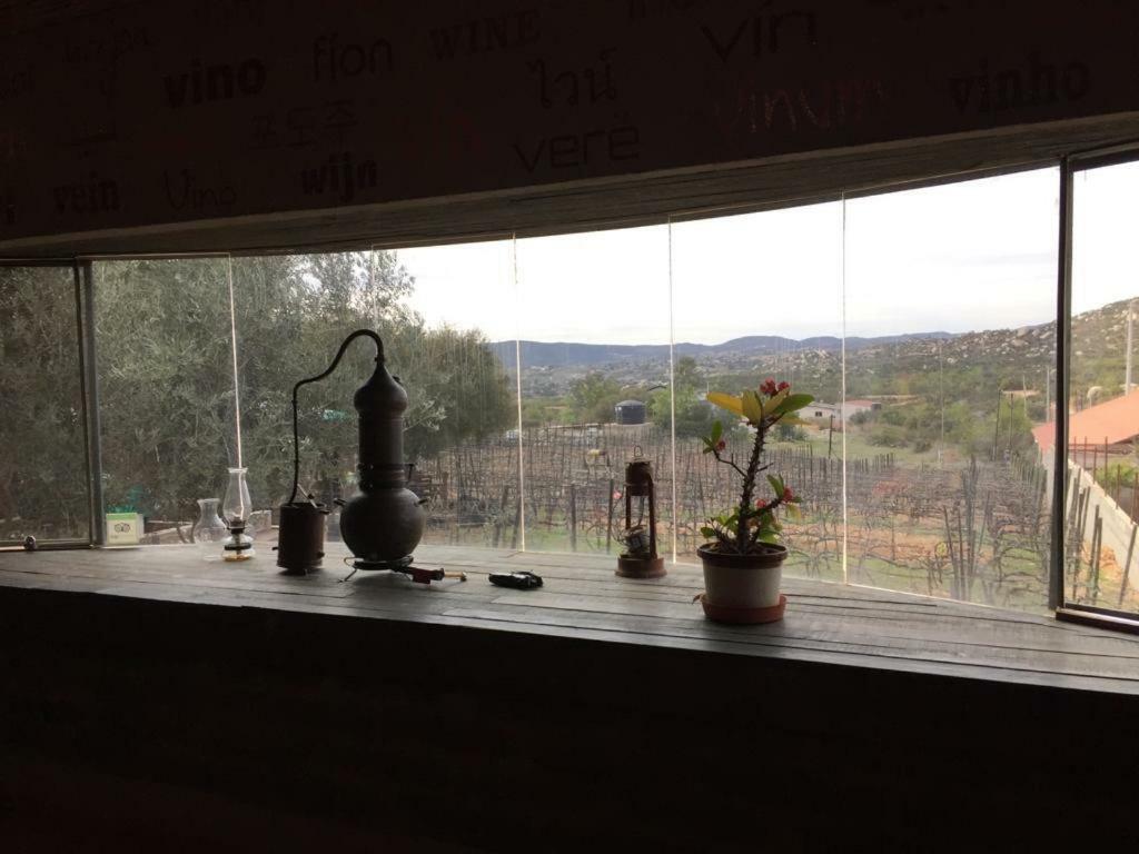 ואלה דה גוואדלופה Guest House Nativo - Charming, Cozy & Affordable מראה חיצוני תמונה